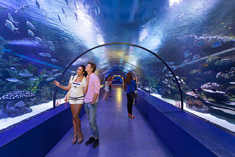 Antalya Aquarium